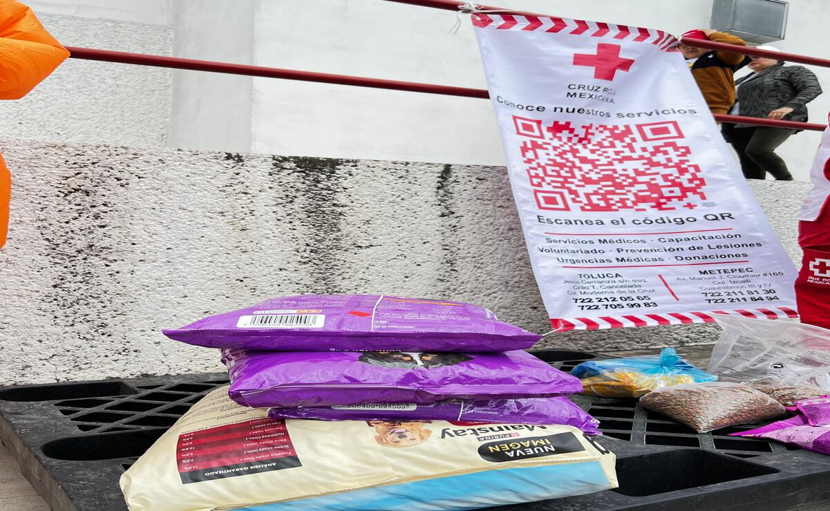 La colecta de alimento para mascotas, juguetes y prendas se llevará a cabo este jueves de 10:00 a 12:00 horas, en la Cruz Roja de Toluca. Foto: Aura Moreno / El Universal Estado de México