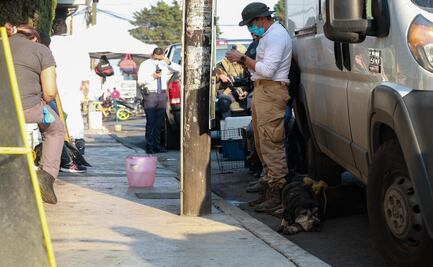 Perros rescatados en Mexicaltzingo bajo resguardo de Cepanaf