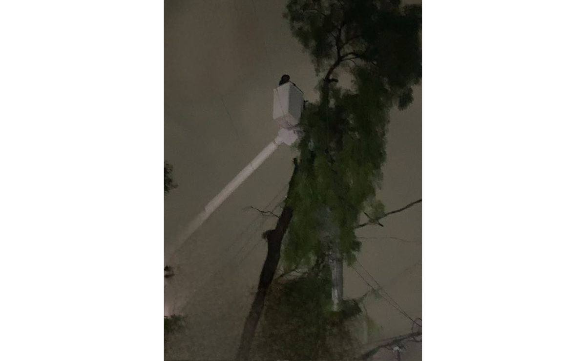 Lluvias torrenciales activan la emergencia en el municipio, dejando árboles caídos, calles inundadas y vehículos varados. Foto: Especial