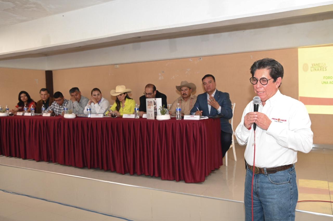 Edomex lanza 30 medidas para salvar los bosques mexiquenses