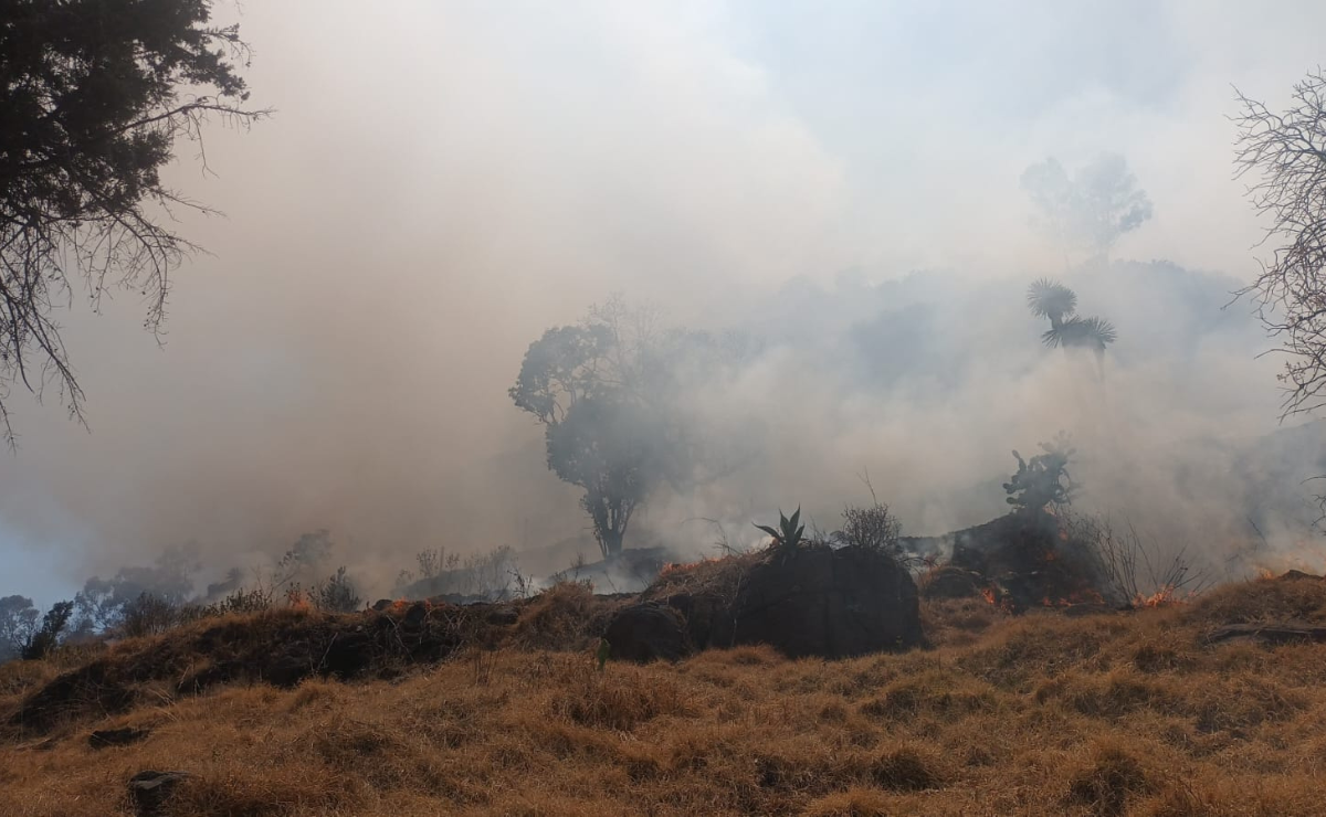 La rápida intervención de los bomberos municipales evitó la propagación del fuego en Miltepec. Foto: Especial