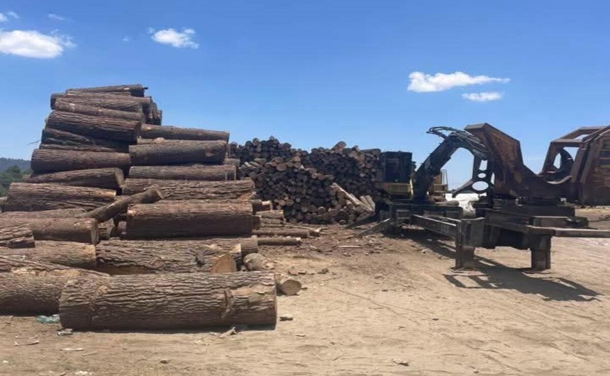 Tala clandestina pone en riesgo los mantos acuíferos de Coatepec Harinas e Ixtapan de la Sal