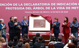 ¡Metepec hace historia! El Árbol de la Vida recibe protección oficial contra la piratería