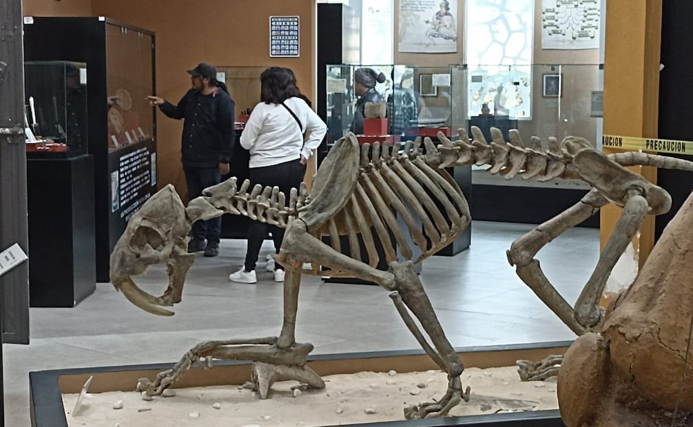 Ubicado a la entrada del Parque Ecológico Ehécatl, el Muva recibe actualmente hasta mil visitantes cada fin de semana. Foto Especial