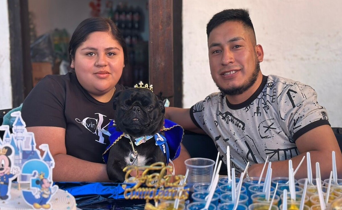 ¡Feliz cumpleaños, Sky! El pug más querido de Temascaltepec celebra tres años