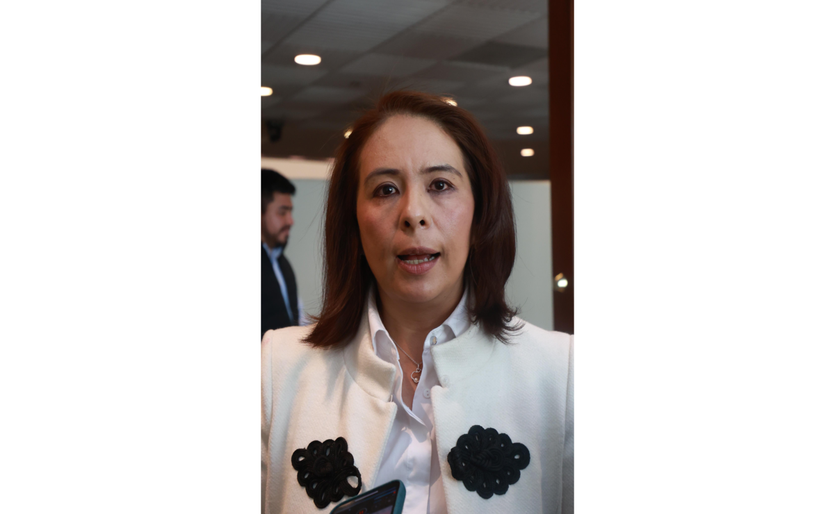 Consejera electoral Karina Vaquera Montoya. Foto: Especial