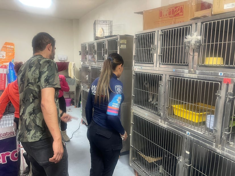 El felino recibe atención médica especializada y estará en observación en el Centro de Control y Bienestar Animal de Ecatepec por al menos dos semanas. Foto Especial