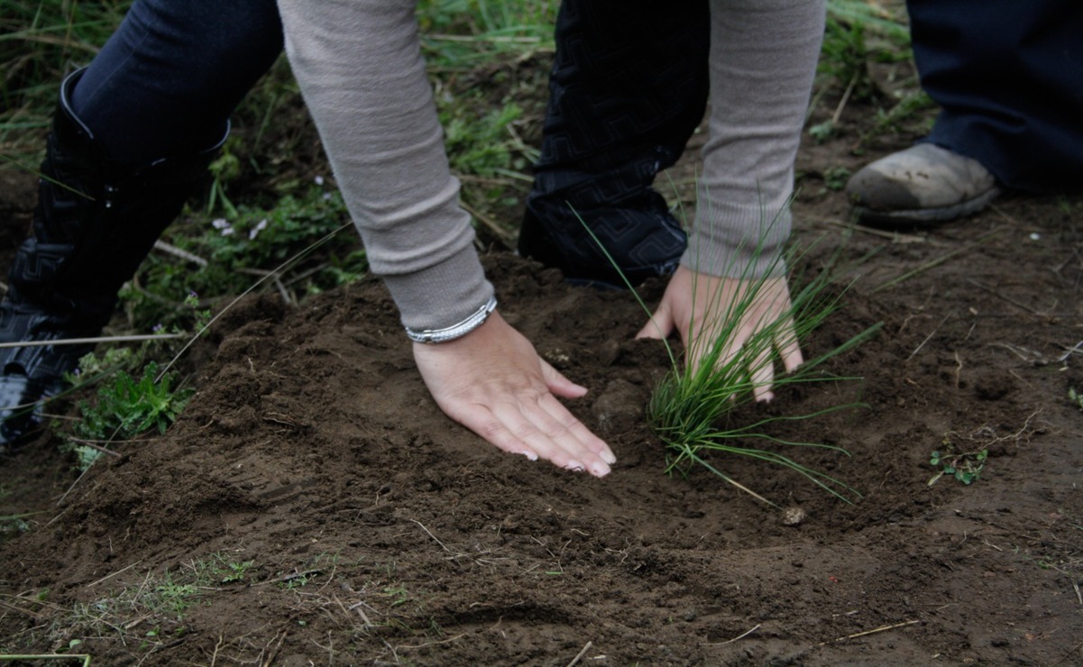 Probosque: Estrategias para el desarrollo forestal en el Edomex