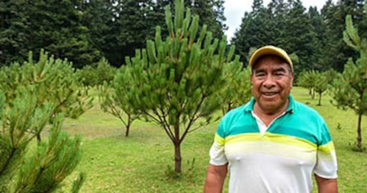 Los propietarios de terrenos en cuencas altas podrán recibir hasta 3 mil 600 pesos por hectárea protegida bajo el esquema de Servicios Ambientales Hidrológicos. Foto Especial