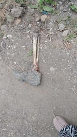 ¡De terror! Hallan pierna humana en Cuautitlán Izcalli