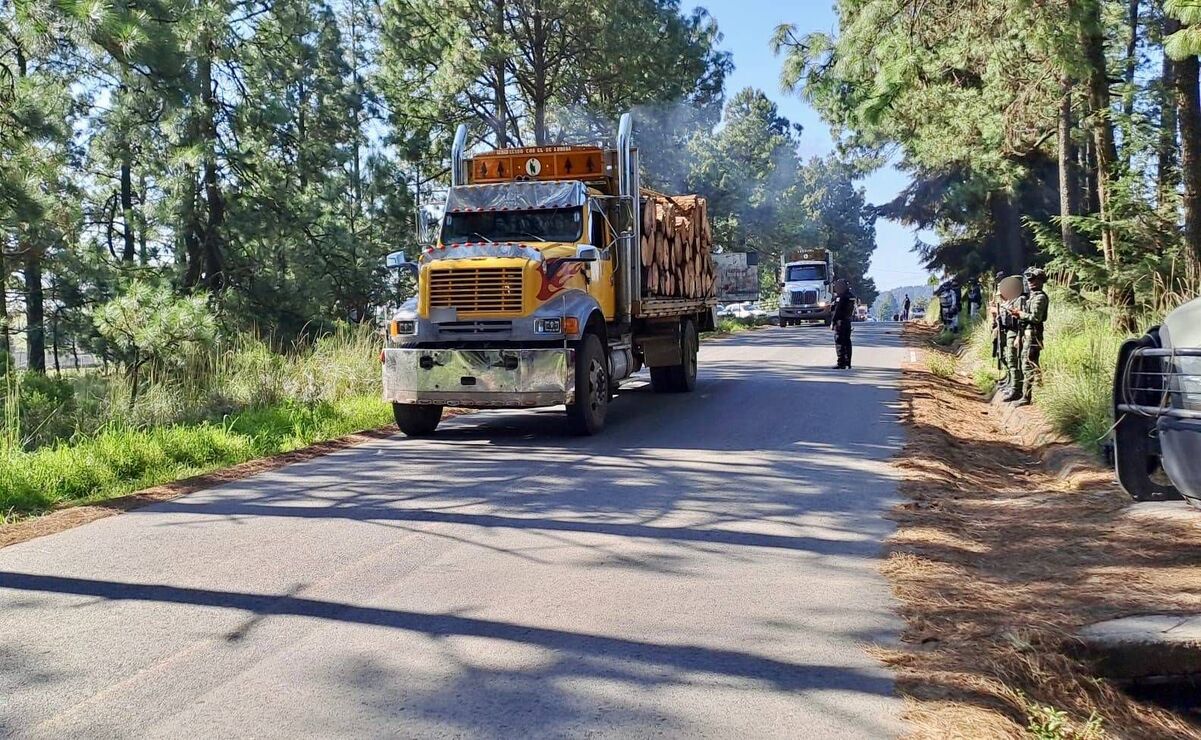 Los dos camiones tipo Torton trasladaban  ocho metros cúbicos de madera de rollo. Foto: Especial