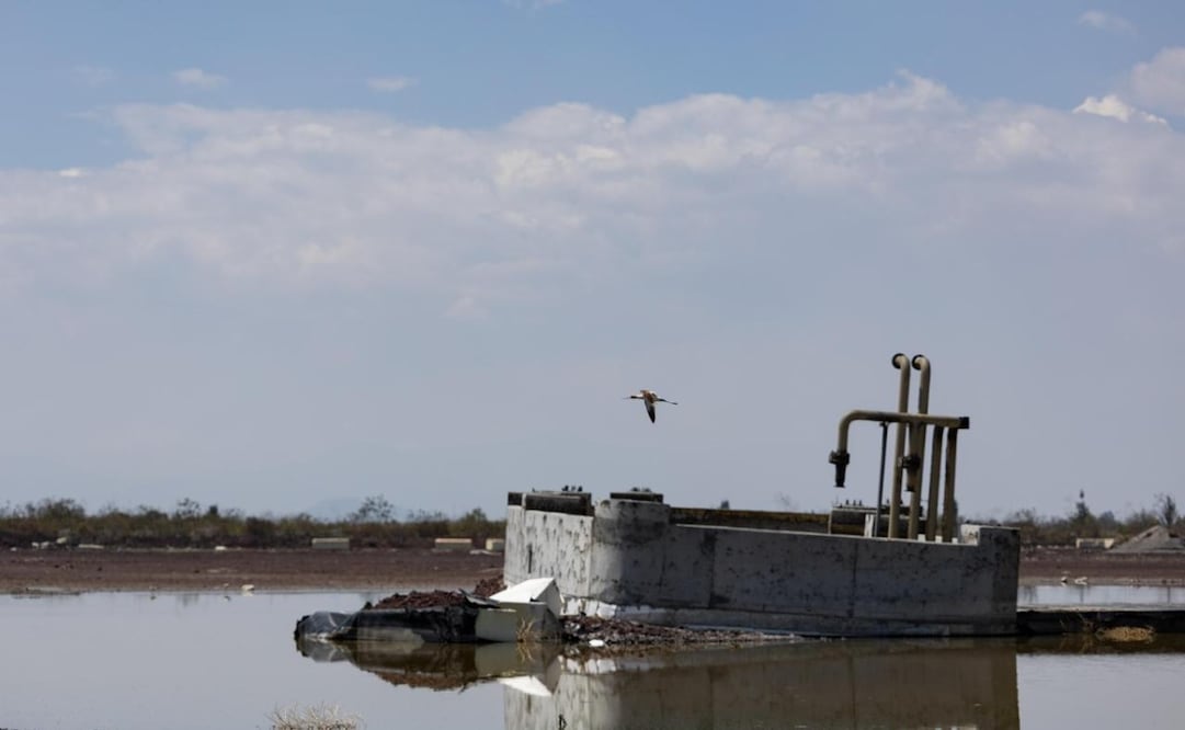 La torre de control permanecerá en su sitio original, integrándose visualmente al paisaje del Área Natural Protegida. Foto Hugo Salvador / El Universal