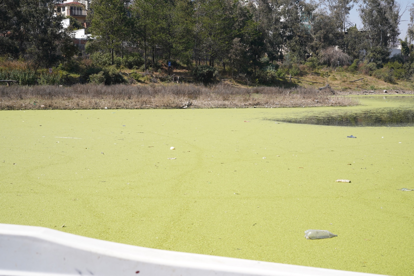 Las principales causas de la contaminación de la presa son las descargas irregulares de aguas residuales de municipios vecinos, la presencia de basura y la construcción de diques sin autorización. Foto Especial