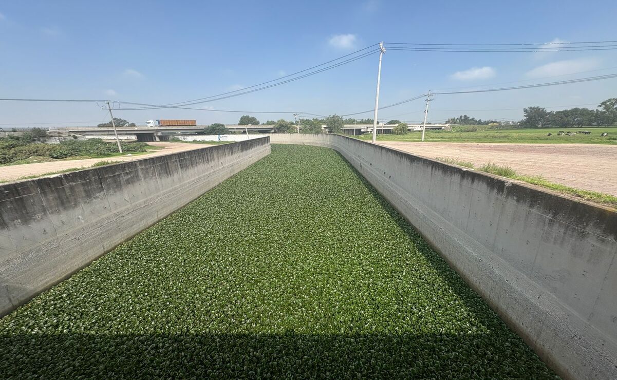 La finalidad es estar prevenidos en caso de lluvias torrenciales / Foto Arturo Contreras