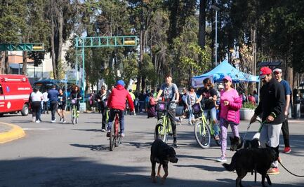 ¡Crece Toluca Recreativa! El Paseo Dominical se extiende hasta Ciudad Universitaria