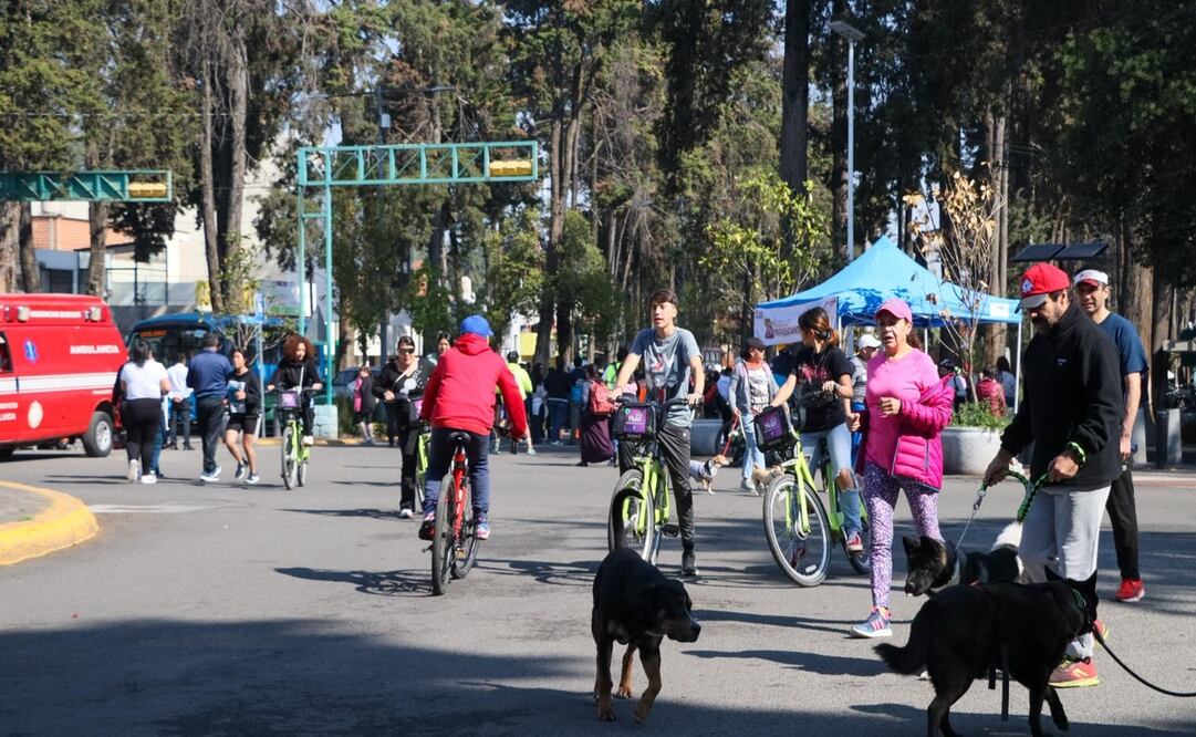 Paseo dominical “Toluca Recreativa” / Foto Especial