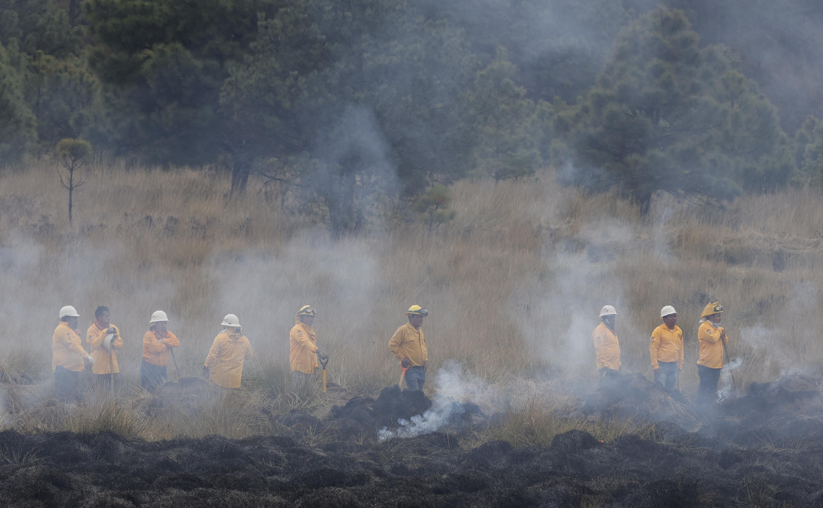 Brigadistas luchan contra el fuego en Naucalpan, Tenango, Ocuilan y Sultepec, según el reporte de Probosque. Foto: Arturo Hernández