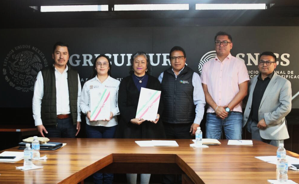 Edomex florece con nuevas variedades de Rosas: Nitá y Maya impulsan la floricultura mexiquense