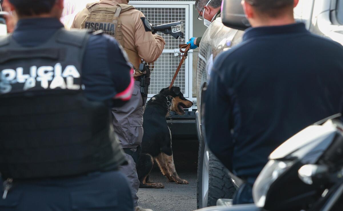 Los perritos rescatados quedaron a resguardo de la Cepanaf / Foto Alejandro Vargas
