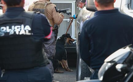 Infierno en Mexicaltzingo: Mateo “N” vinculado a proceso por maltrato animal