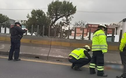 Accidente en la México-Querétaro: Hombre muere atropellado