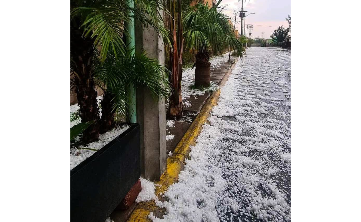 El municipio de Tecámac se pintó de blanco por una granizada que generó precauciones para los conductores, especialmente en las rutas hacia el AIFA. Foto: Especial
