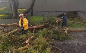 Lluvia derriba árboles, cables y techos en Tlalnepantla e inunda Tultitlán
