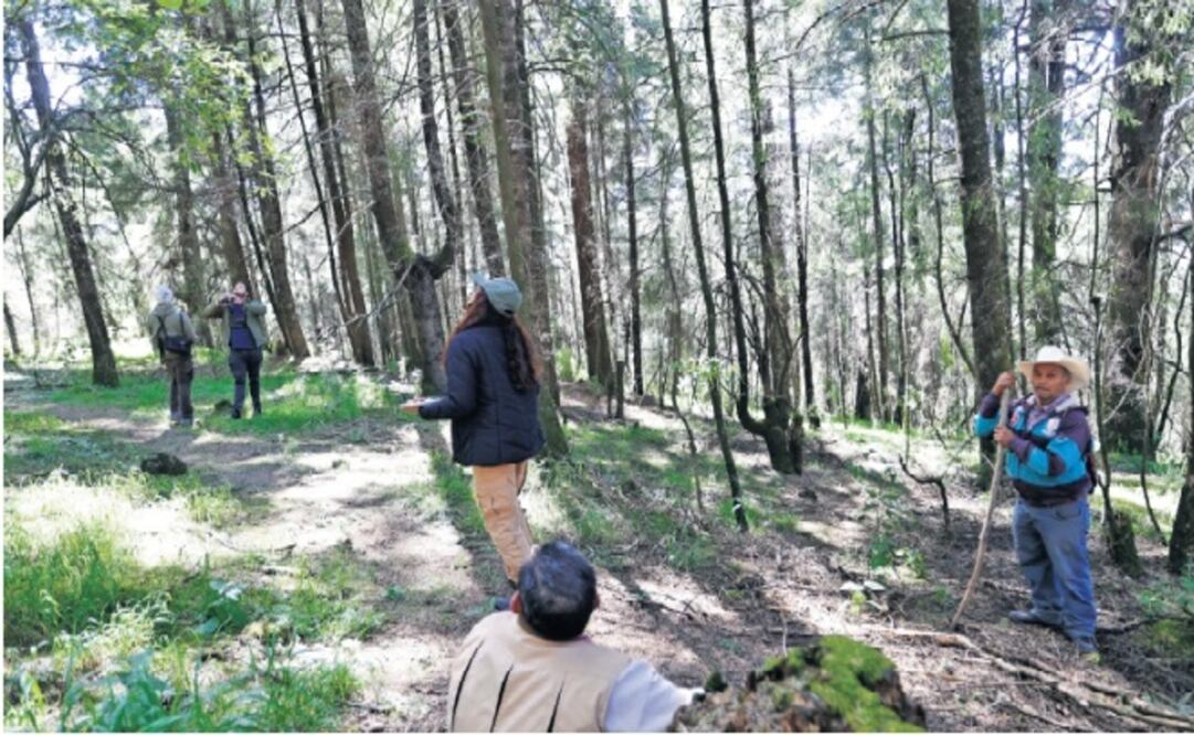 Turistas que atentaron contra la preservación / Foto Jorge Alvarado