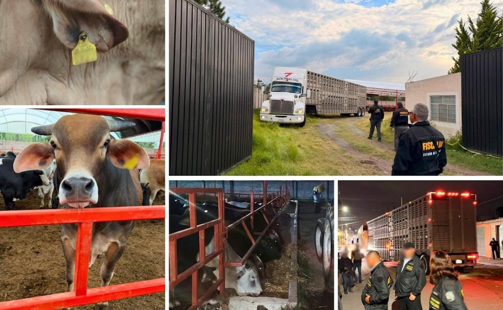 Elementos de la Fiscalía del Edomex y de Veracruz, junto con la policía estatal, desplegaron un operativo conjunto en Otumba. Foto Especial