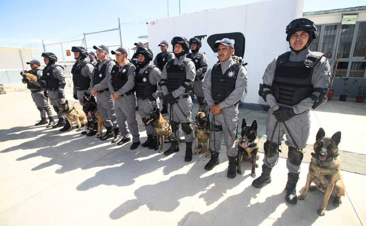 Héroes de cuatro patas: así cuidan los perros policía del Edomex los centros penitenciarios. Foto: Especial