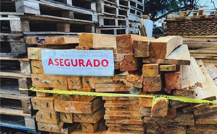Clausuran aserraderos en Chapa de Mota y aseguran más de 446 metros cúbicos de madera