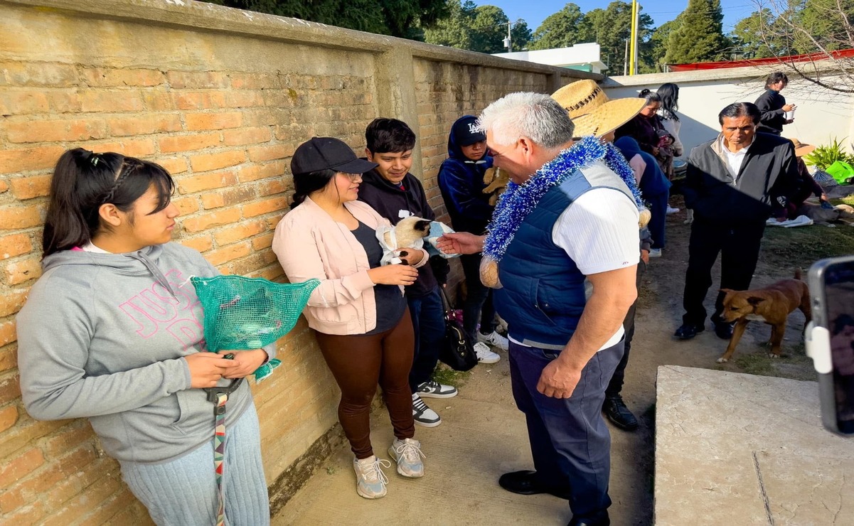 San Felipe del Progreso continúa reforzando las acciones en favor del bienestar animal con la campaña de esterilización canina y felina. Foto: Michelle Sánchez / El Universal Estado de México