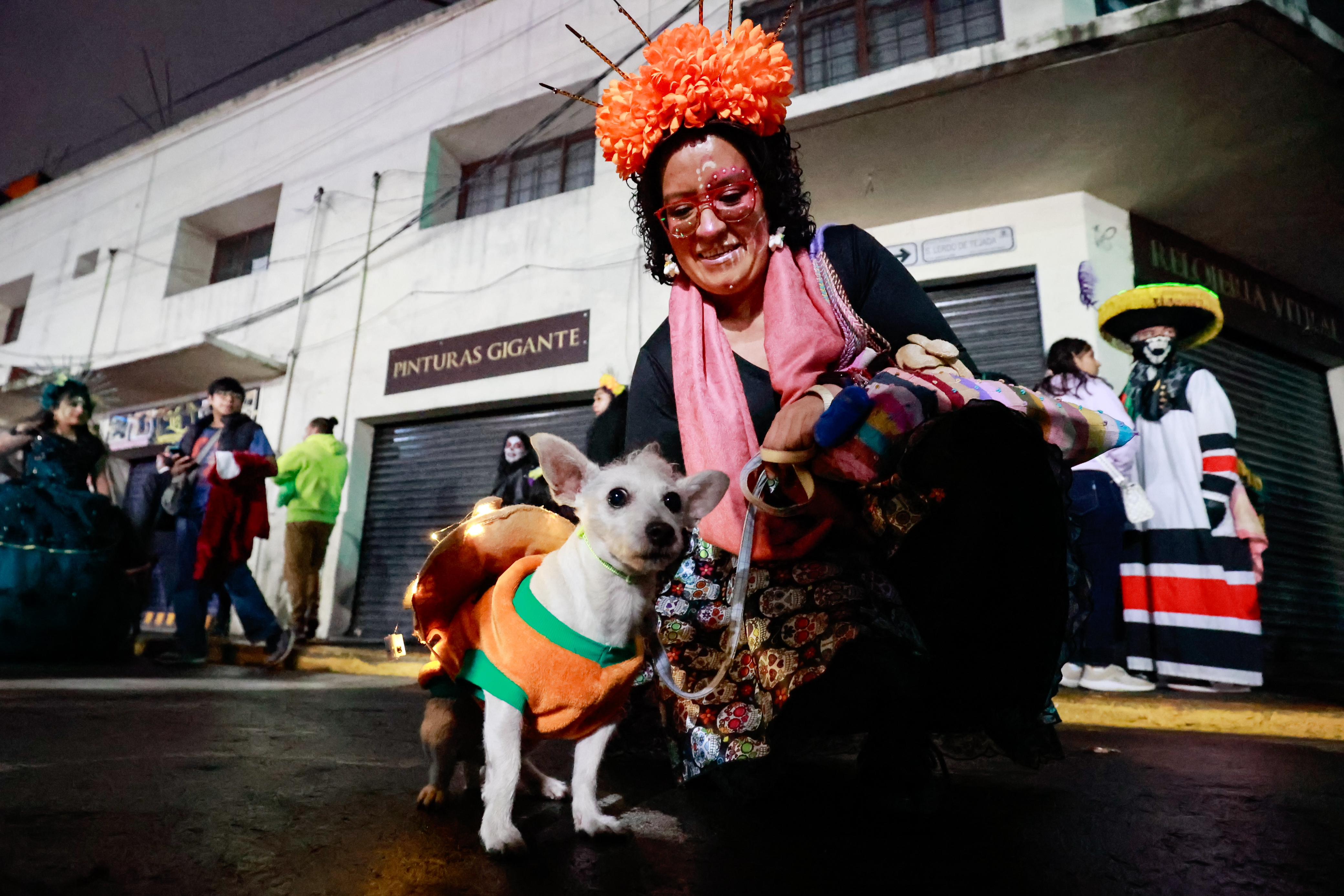 En esta edición, hasta las mascotas se alistaron para participar en el desfile.  Foto Alejandro Vargas