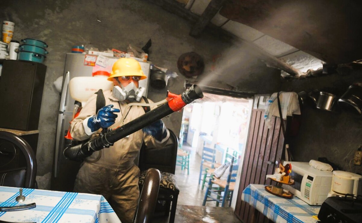 Un equipo de 74 brigadistas de las jurisdicciones sanitarias de Tejupilco, Tenancingo y Valle de Bravo colaborará con autoridades locales / Foto: Especial