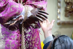 Diócesis de Cuautitlán convoca a jornada de oración por la paz en México tras hechos violentos