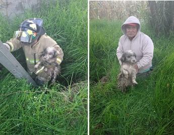 Bomberos de Metepec rescatan a lomito