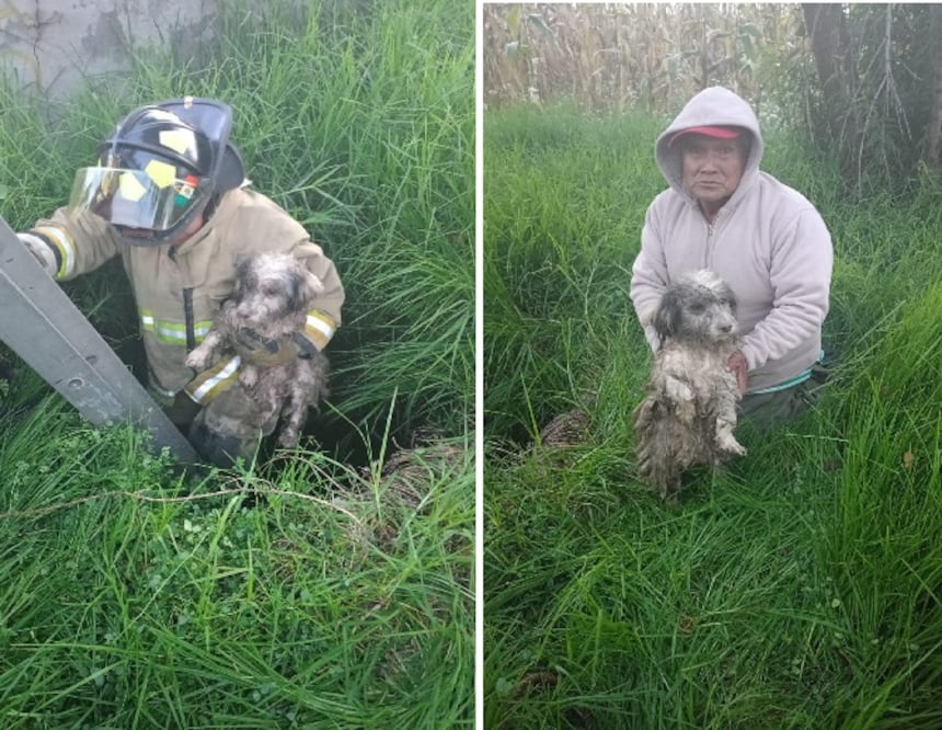 Bomberos de Metepec rescatan a lomito y lo entregan a su dueño. Foto Especial