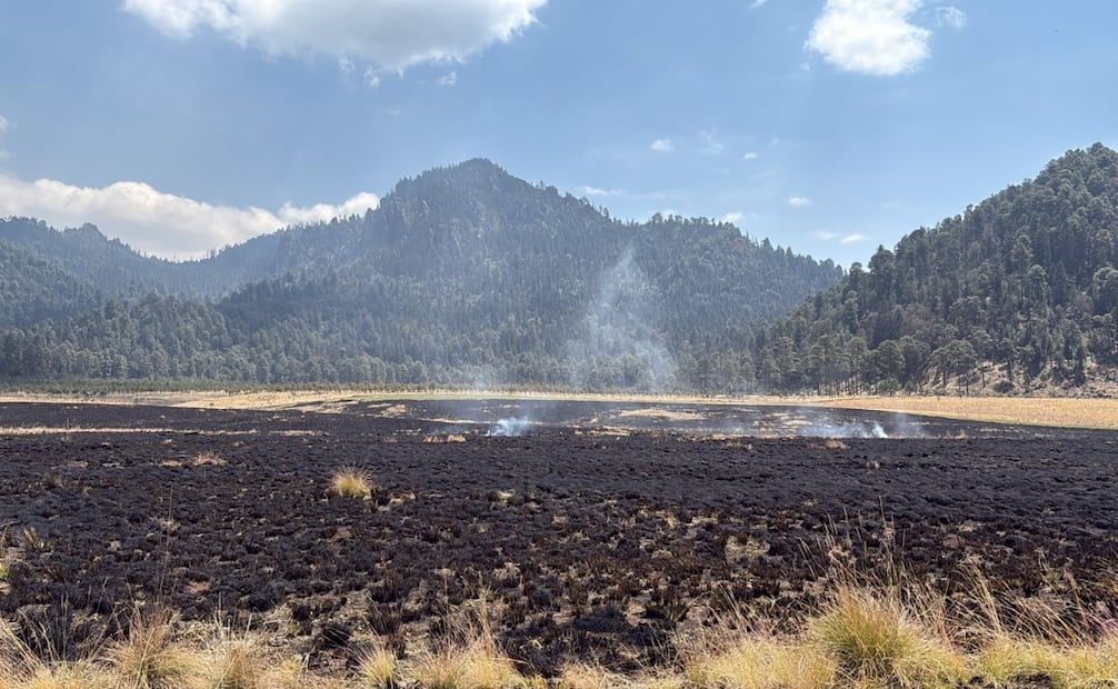 Con herramientas especializadas, los brigadistas trazan brechas cortafuego para evitar que las llamas se propaguen hacia zonas de difícil acceso. Foto Claudia Rodríguez / El Universal