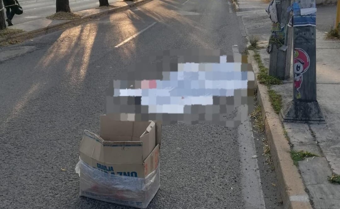 El hombre intentaba cruzar el carril de baja velocidad / Foto Especial