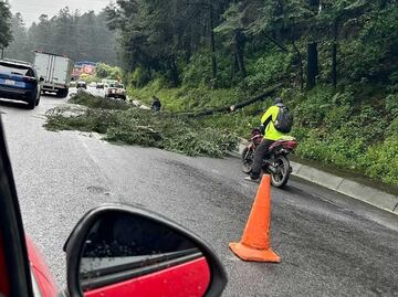 Doble alerta vial en Edomex: Árbol cae en México-Toluca y deslave bloquea la Tenancingo-Tenango