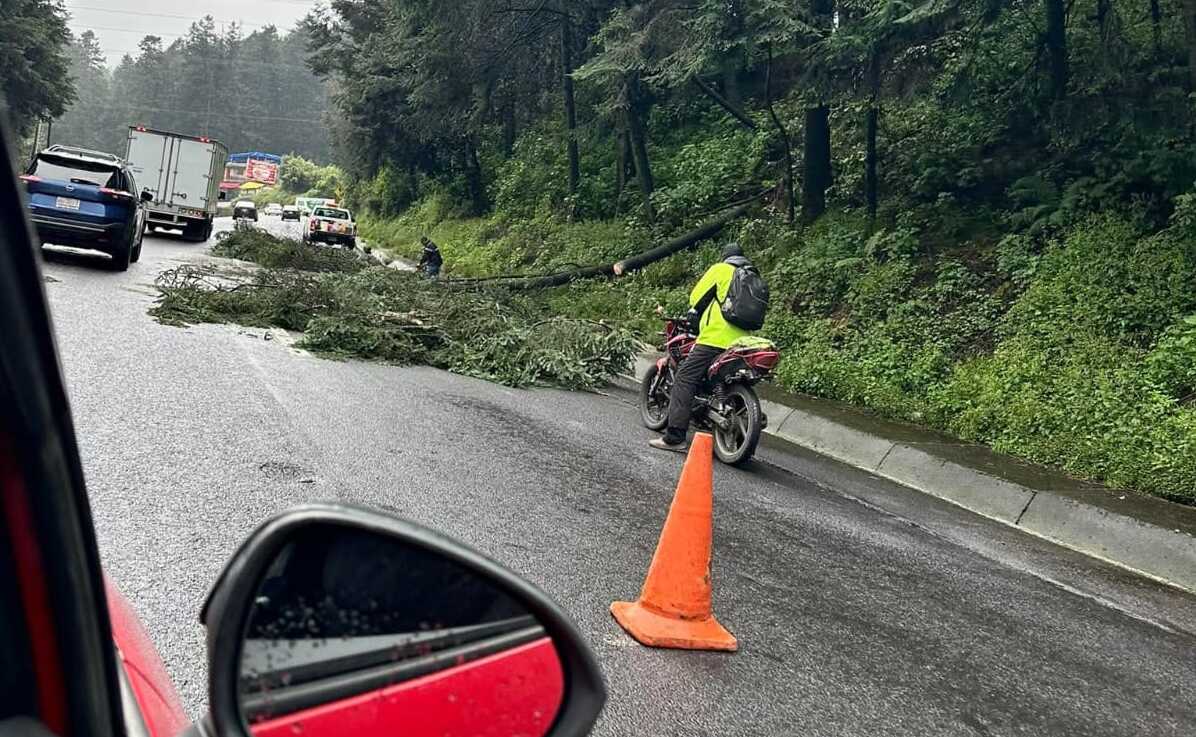 Doble alerta vial en Edomex: Árbol cae en México-Toluca y deslave bloquea la Tenancingo-Tenango