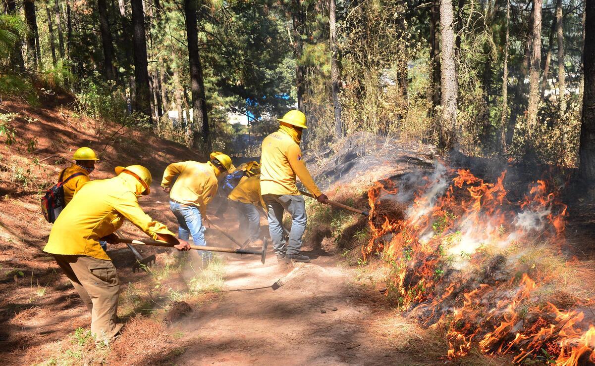 La temporada de incendios forestales 2025 se aproxima / Foto: Especial