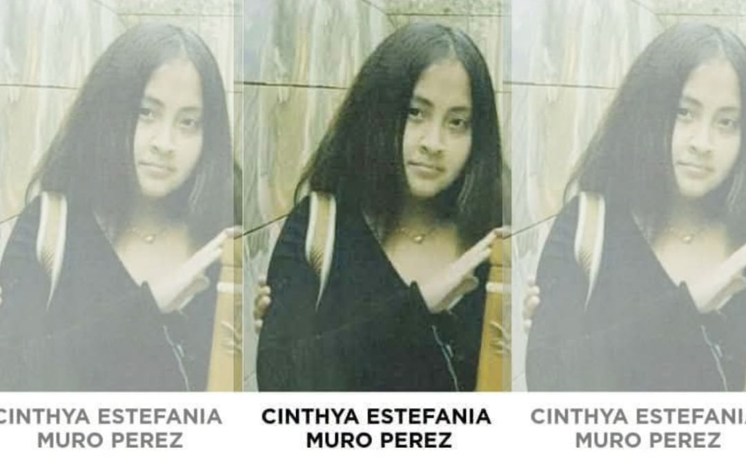 La adolescente de 17 años fue vista por última vez el pasado 9 de agosto en la Unidad Habitacional Los Prados. Foto especial