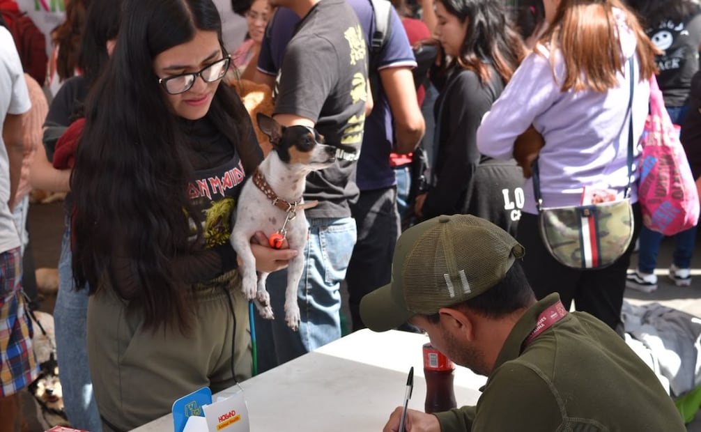 Más de 160 seres sintientes ya han sido adoptados de forma responsable gracias a este programa estatal. Foto Especial