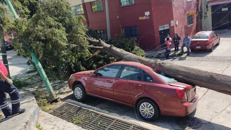 Árbol aplasta vehículo y causa destrozos en barrio de Toluca