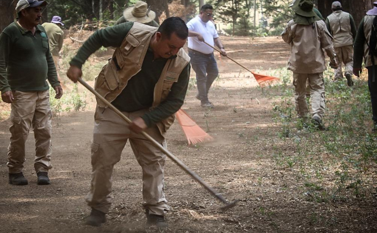 En el Estado de México, los padres de la Cepanaf no solo cuidan nuestros bosques y fauna, sino que también siembran conciencia ambiental en casa. Foto: Especial