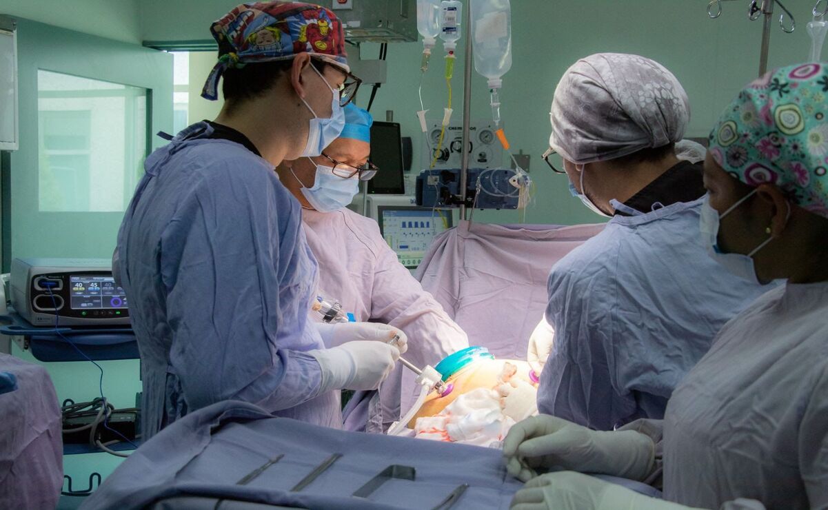 Se han realizado intervenciones de tejidos como piel y córnea; además de órganos como hueso, hígado y, en un futuro, de pulmón y corazón. Foto: Especial