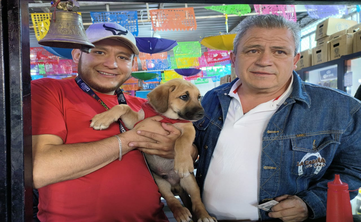 La adopción de mascotas busca disminuir la cantidad de animales en situación de calle, impulsar la tenencia responsable. Foto: Especial