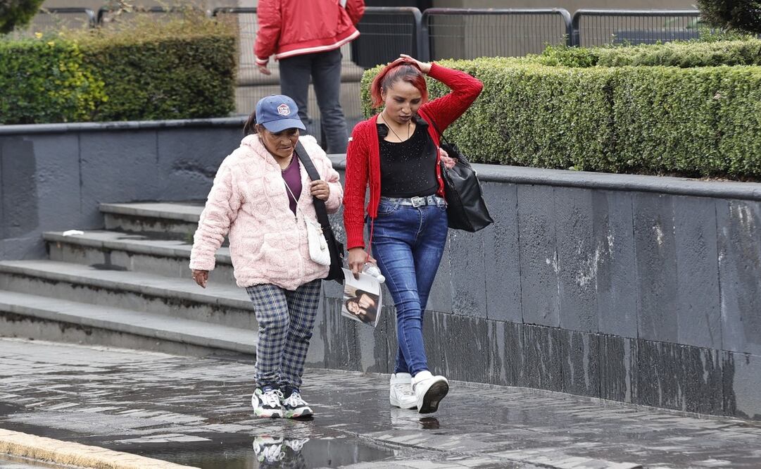 El Día de la Mujer de las Américas reconoce el papel vital que las mujeres del continente / Foto: Jorge Alvarado