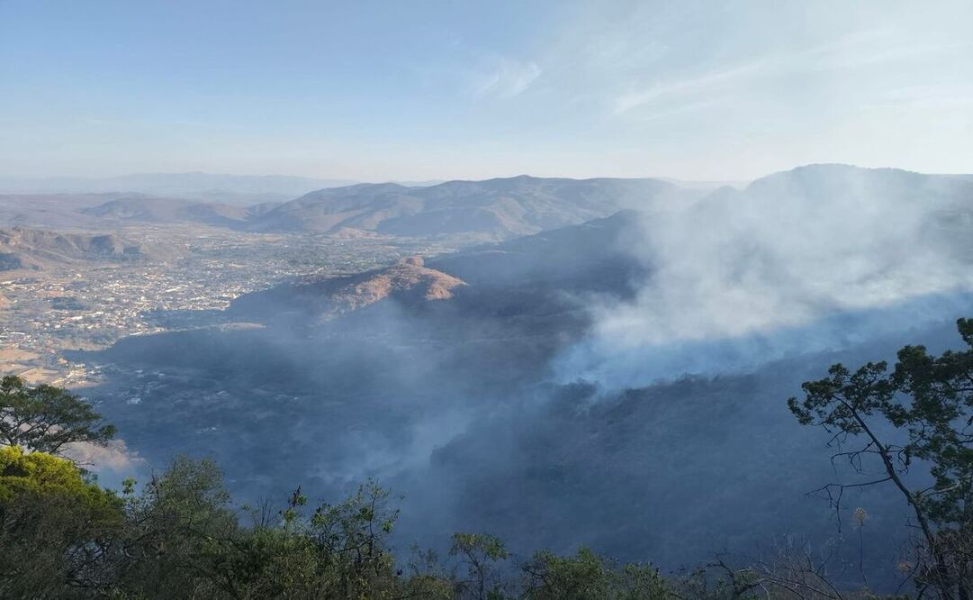 En los últimos días, 45 hectáreas han sido afectadas por incendios forestales en Atlacomulco. Foto: Especial